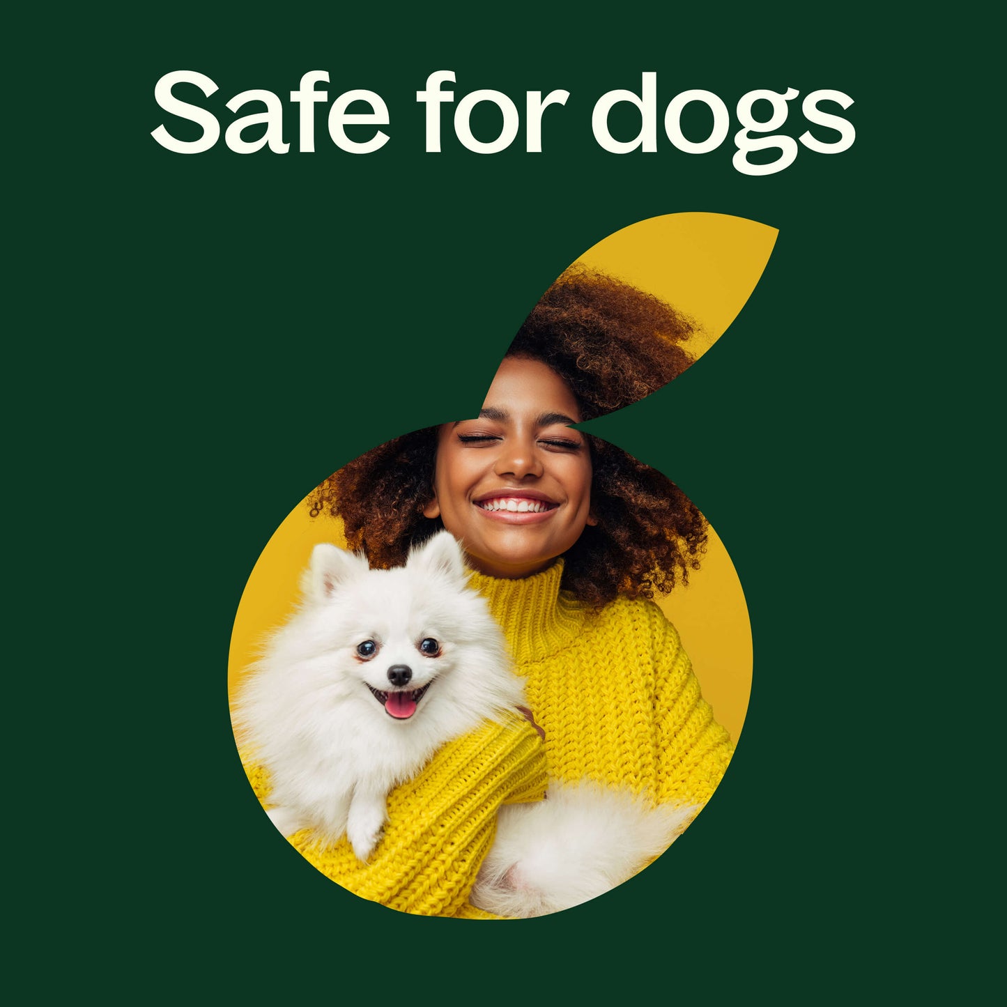 safe for dogs