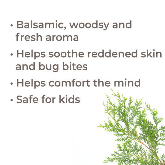 Blue Cypress Essential Oil