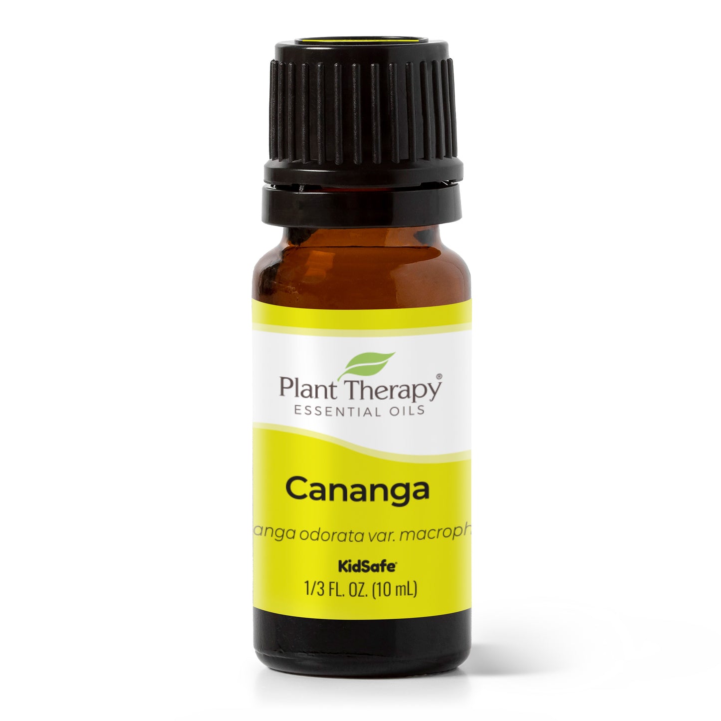 Cananga Essential Oil