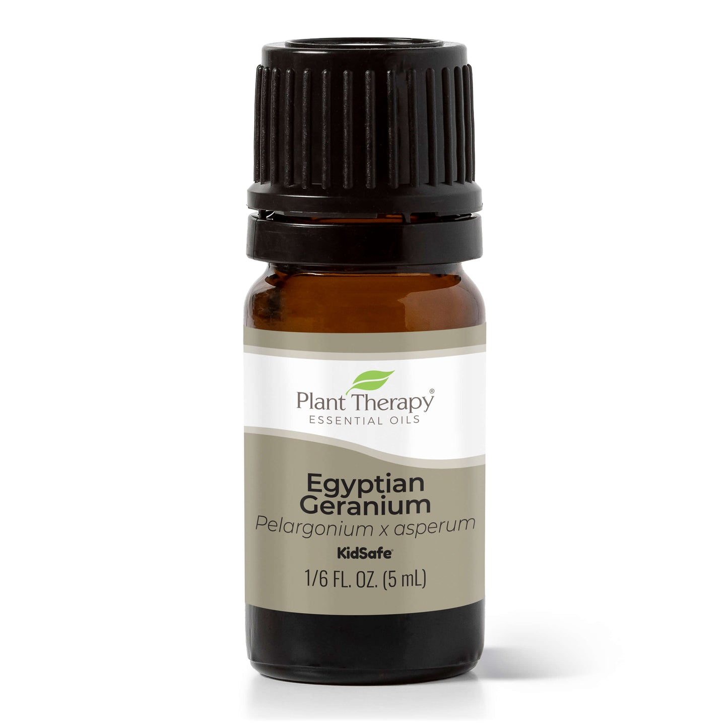 Egyptian Geranium Essential Oil 5 mL