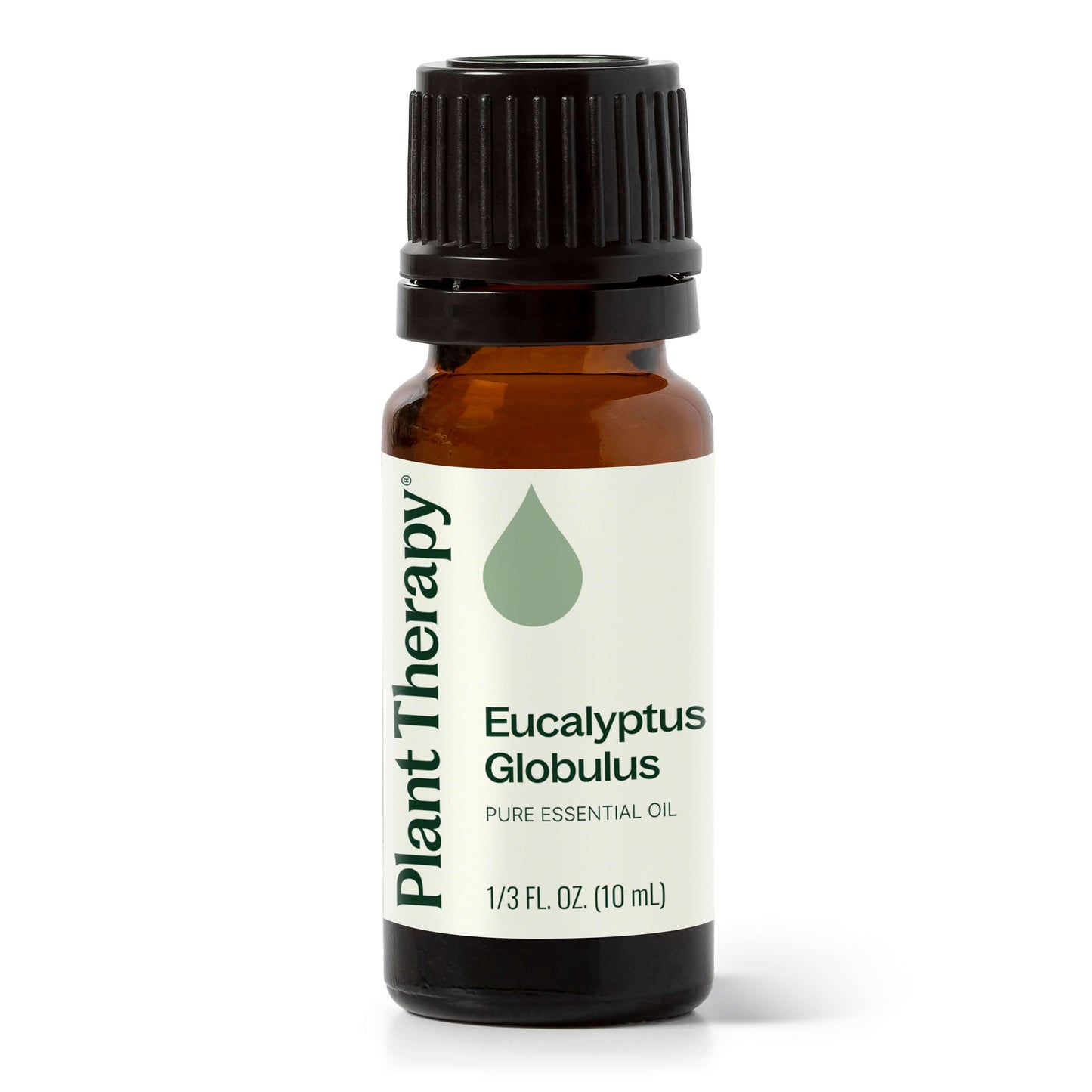 Eucalyptus Globulus Essential Oil