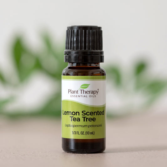 Lemon Scented Tea Tree	Essential Oil