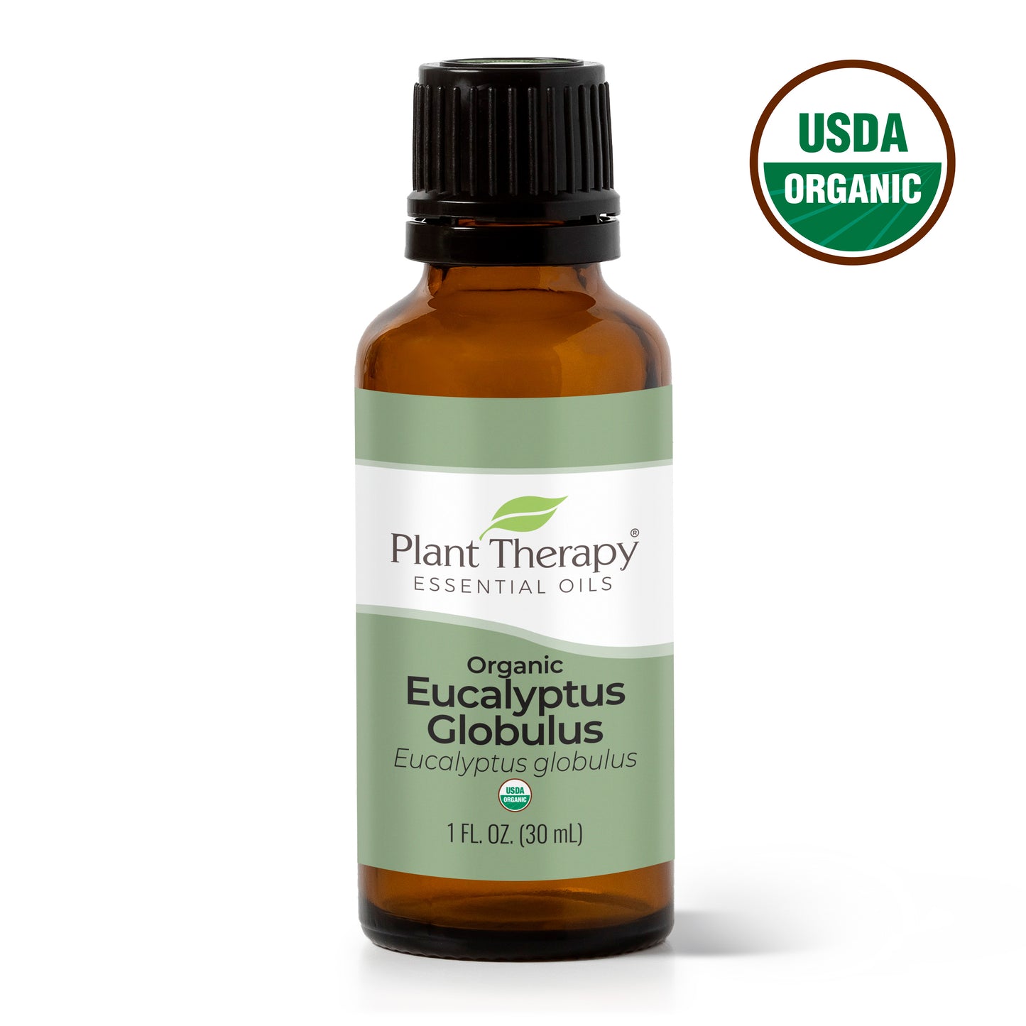 Organic Eucalyptus Globulus Essential Oil 30mL