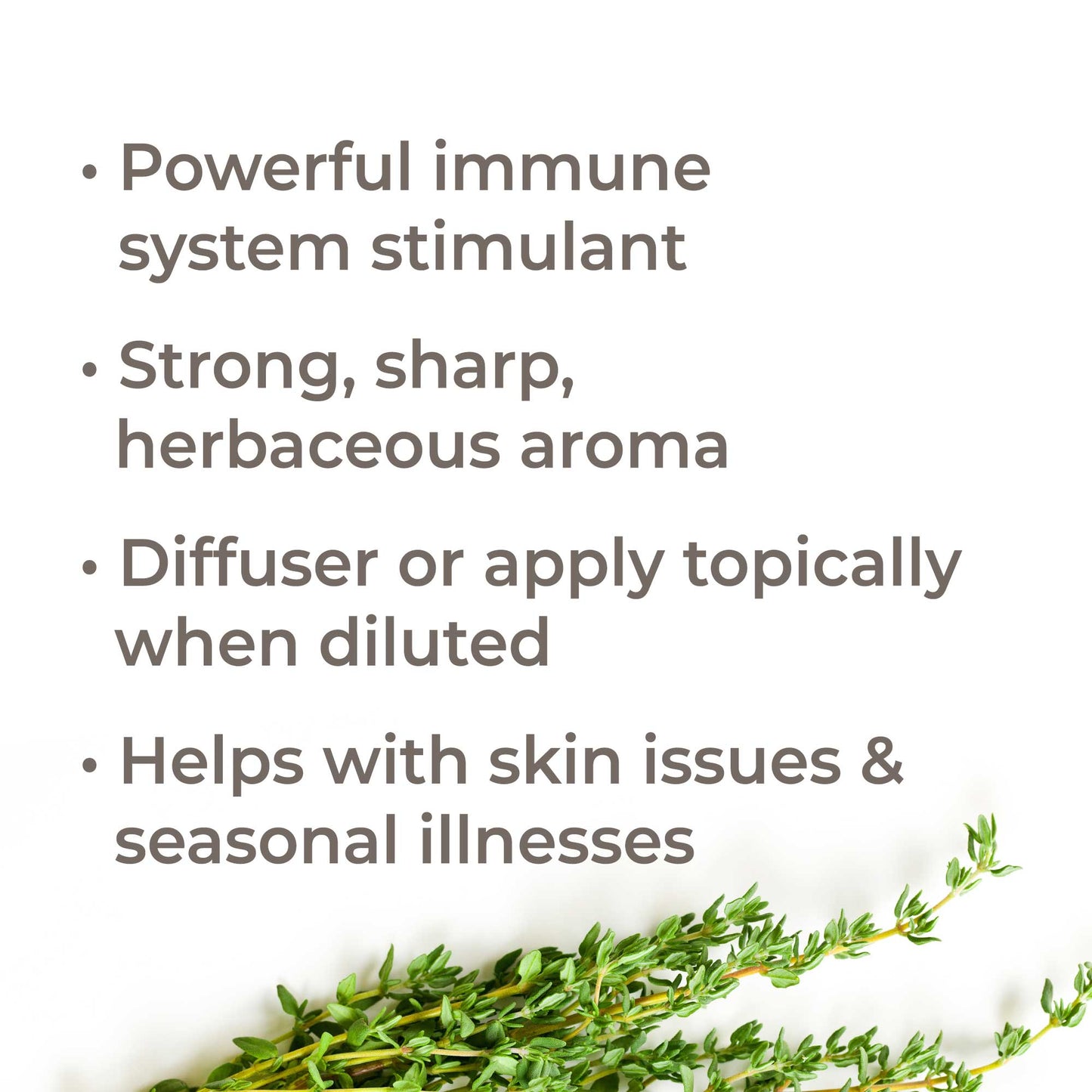 Organic Thyme Thymol Essential Oil