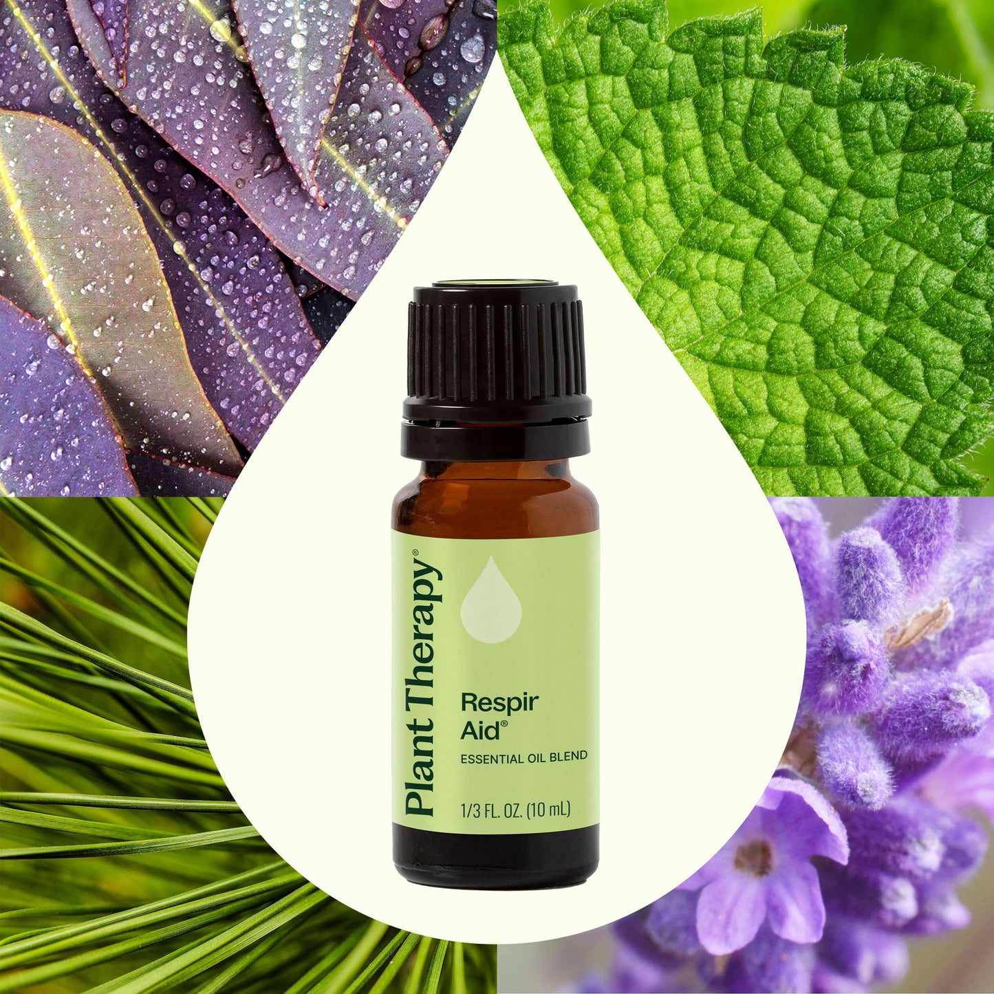 Respir Aid Essential Oil Blend