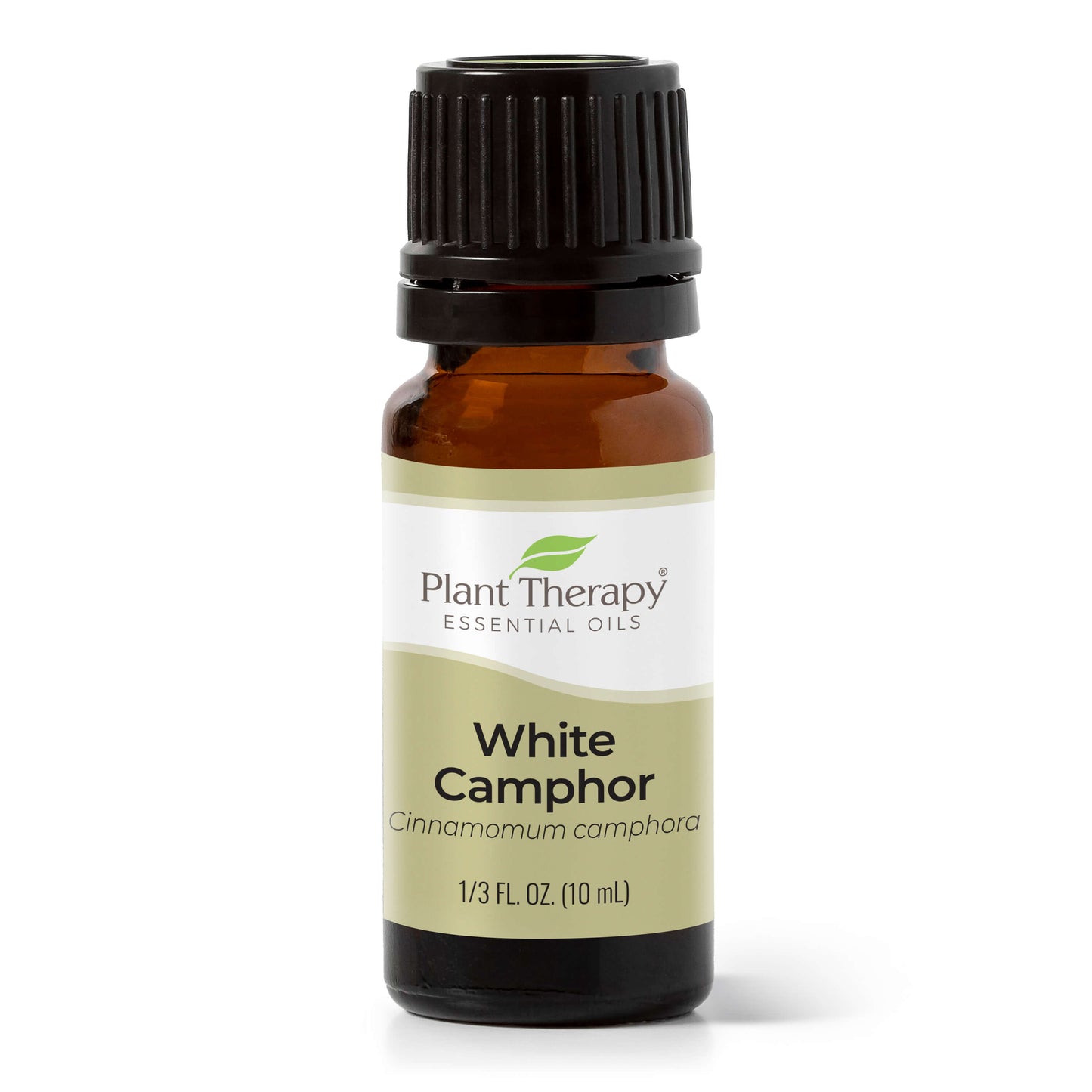 camphor oil