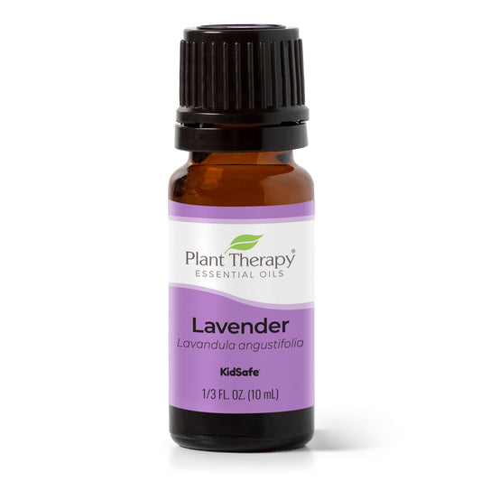 lavender essential oil